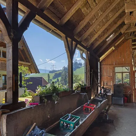 Hinterbauernhof Kuhgefluester Daire